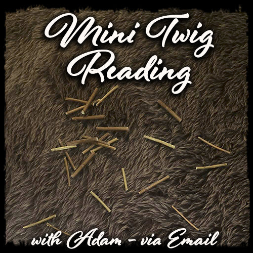 Twig Reading
