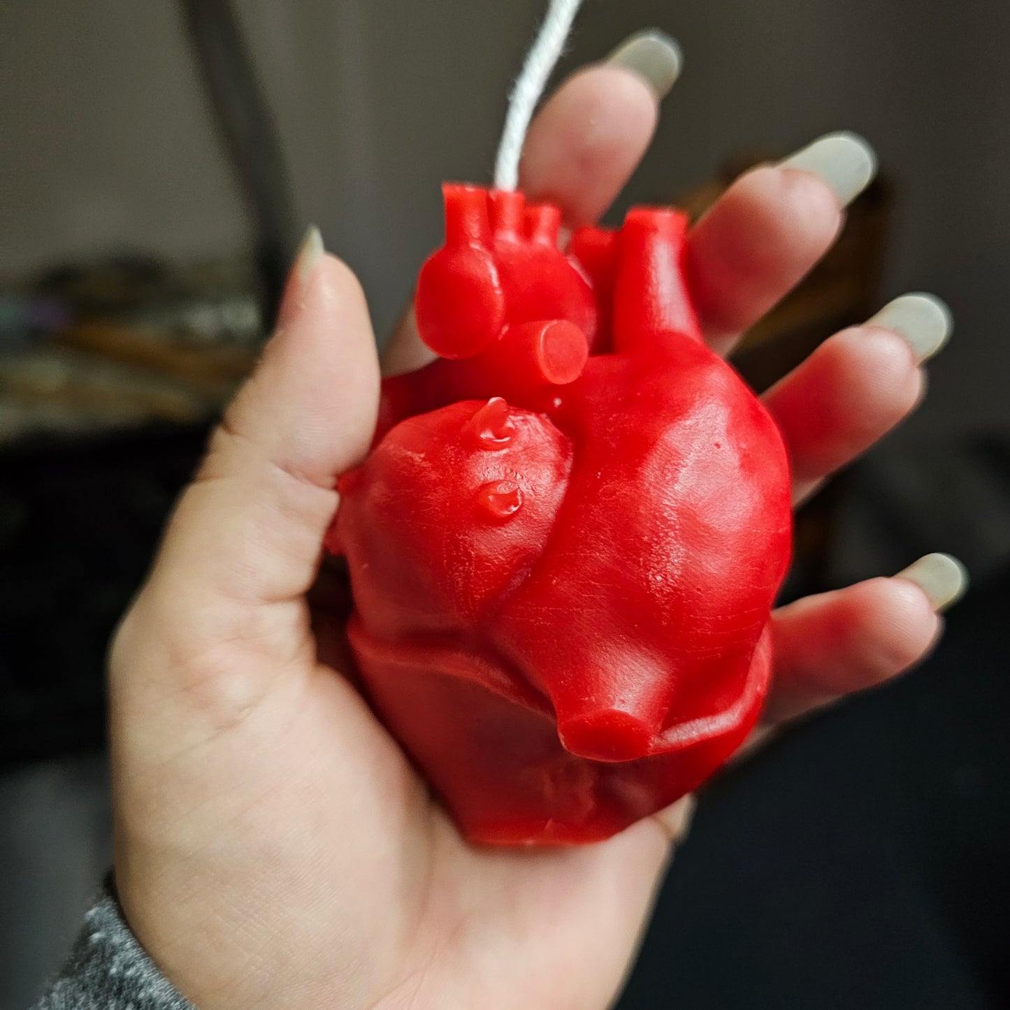 Hand holding a red anatomical model of a heart against a blurred background